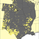 Illustration for article titled Cougars Will Repopulate American Midwest In Next 25 Years